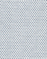 Abloom 3 Indigo by  Stout 