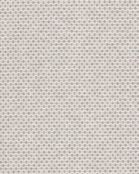 Abloom 5 Taupe by  Stout 