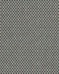 Abloom 6 Turquoise by  Stout 