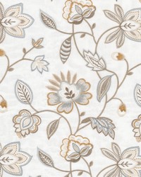 Accrued 3 Oldgold by  Stout 