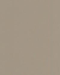 Accurate 2 Pumice by   