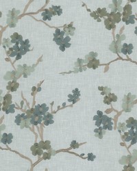 Acres 1 Robinsegg by  Stout 