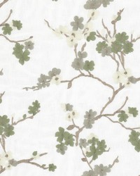 Acres 2 Sage by  Stout 