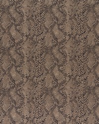 ADCOTT 2 TOFFEE by  S Harris 