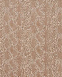 ADCOTT 5 TAWNY by  S Harris 