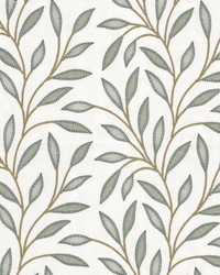 Afloat 1 Aloe by  Stout 