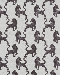 Africa 3 Granite by  Trend  