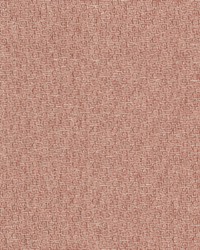 Again 1 Salmon by  Stout 