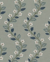 Alakazoo 1 Shoreline by  Stout 