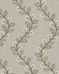 Alakazoo 2 Sage by  Stout 