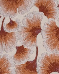 Algiers 1 Terracotta by  Stout 