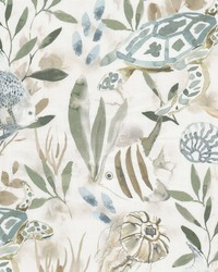 Alias 1 Seaglass by  Stout 