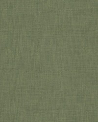 Alike 1 Avocado by  Stout 