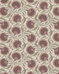 Aloha 1 Vineyard by  Stout 