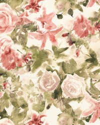 Alora 1 Sorbet by  Stout 