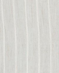 Alpha 1 Dove by  Stout 