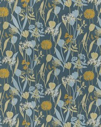 Ambler 2 Bluebird by  Stout 