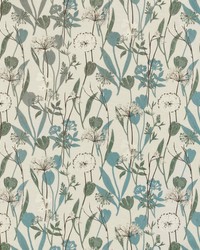 Ambler 5 Breeze by  Stout 