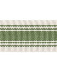 Americana 1 Seedling AMER-1 by   