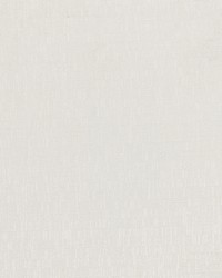 ANADA 4 OYSTER by  Stout 