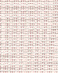 Anderson 1 Hibiscus by   