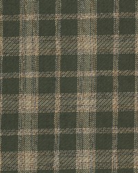 Andi 1 Clover by  Stout 