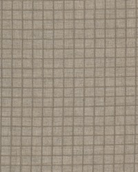 Ansel 1 Mushroom by  Stout 