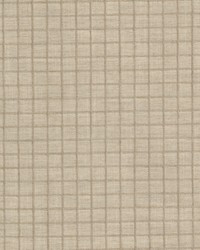 Ansel 2 Bone by  Stout 