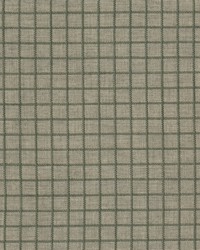 Ansel 3 Basil by  Stout 