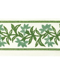 Ansonia Tape 1 Jungle ANSO-1 by   