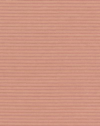 Ardmore 4 Peach by  Stout 