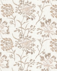 Arrangement 1 Champagne by  Stout 