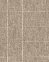 Arwen 1 Hemp by  Stout 