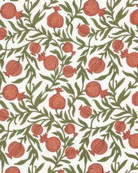 Ashton 1 Salsa by  Stout 