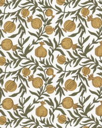 Ashton 4 Dijon by  Stout 