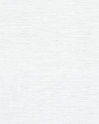 Asteria 1 Snow by  Stout 