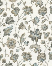 Auckland 2 Oyster by  Stout 