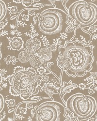 Aurora 3 Bamboo by  Stout 