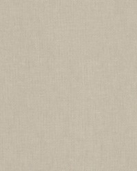 Aussie 1 Taupe by  Stout 