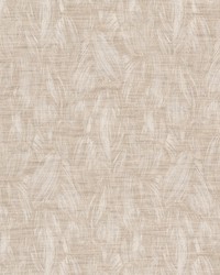 Awning 1 Sandune by  Stout 