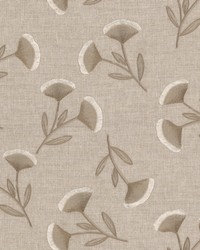 Baden 1 Maple by  Stout 