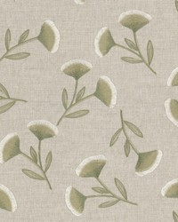 Baden 2 Citrine by  Stout 