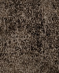 Barstow 1 Brandy by  S Harris 