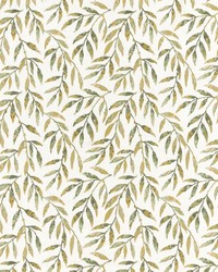 Baylor 2 Basil by  Stout 