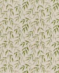 Baylor 3 Evergreen by  Stout 