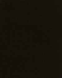 Beechwood 10 Onyx by   