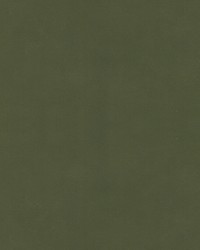 Beechwood 11 Olive by   