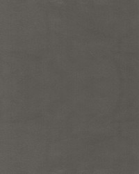 Beechwood 13 Pewter by   