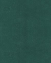 Beechwood 3 Evergreen by  Europatex 