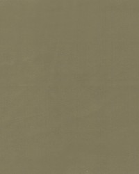 Beechwood 4 Chive by  Europatex 